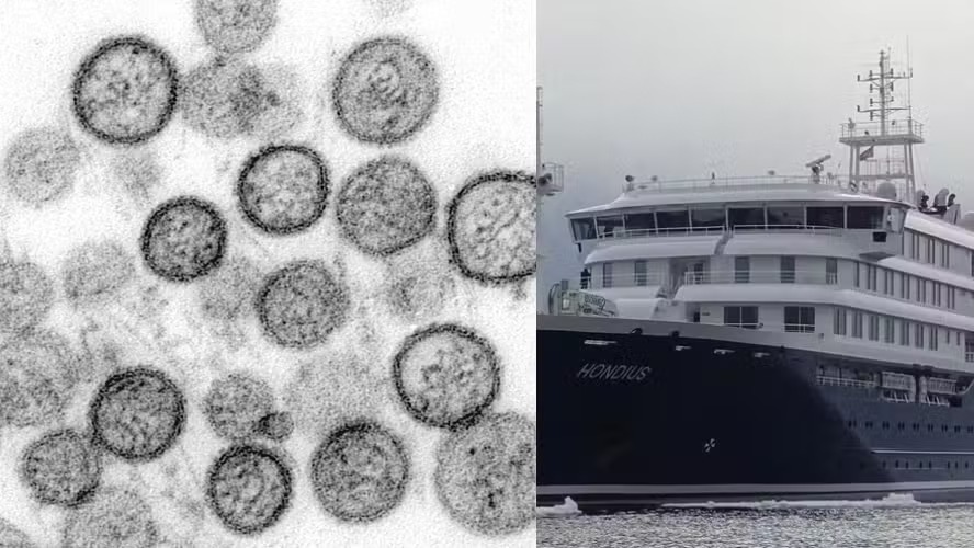 Novo caso de hantavírus em tripulante do navio MV Hondius nos Países Baixos