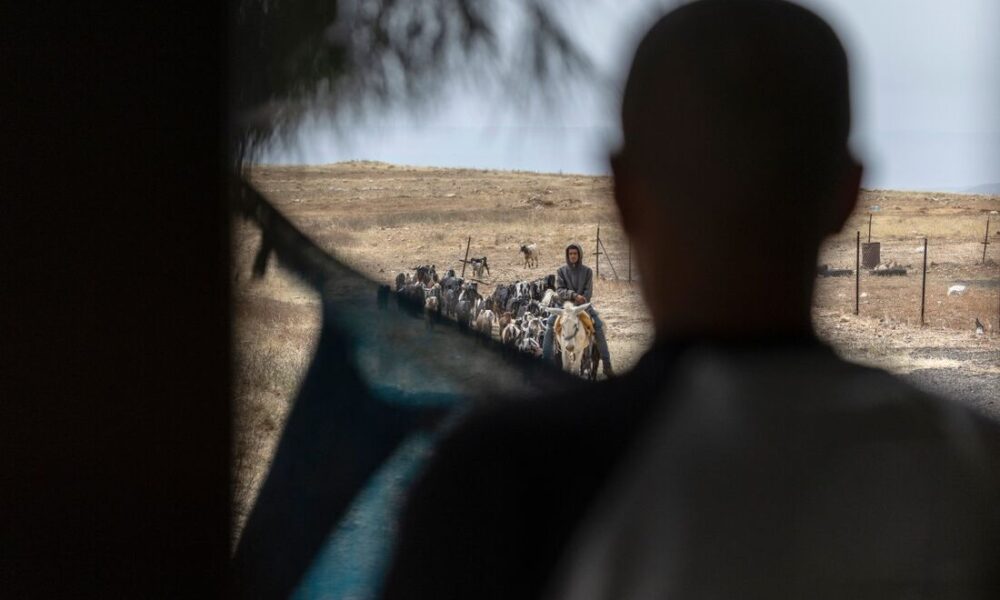 Hamas concorda com fim da guerra e desarmamento em Gaza - QTU Questões do Universo