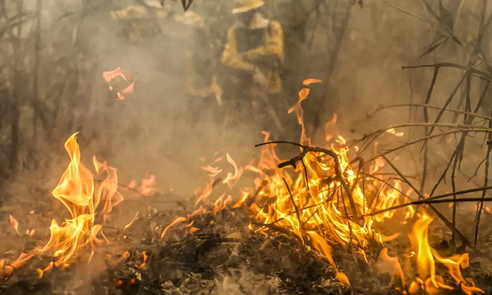Copernicus: menor emissão de gases por incêndios em 24 anos