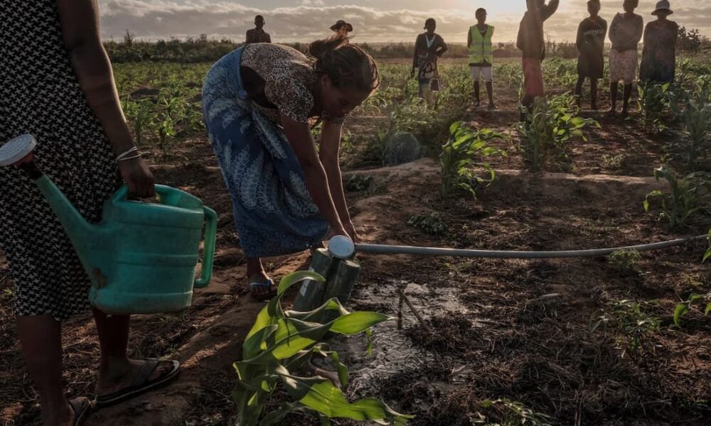 El Niño vai ficar mais forte até dezembro, diz ONU